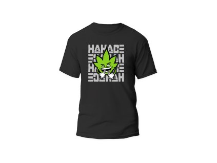 hahace v2