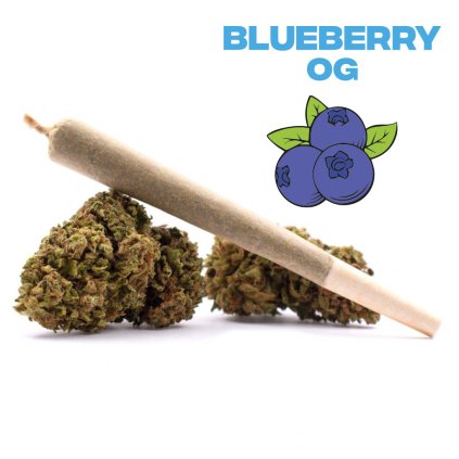 preroll blueberry