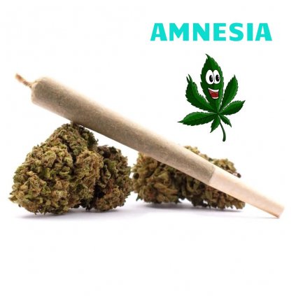 HHC-P Preroll - Amnesia Haze