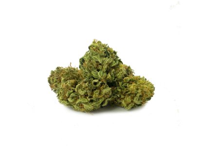 cbd blueten mimosa 1