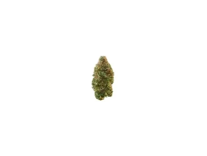 Glookies | THC-X > 30%