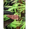 Piatella Strawberry | THC-X > 30%