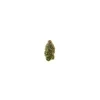 Glookies | THC-X > 30%