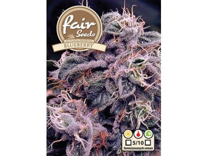 187663e2c7165814fd508c3ccd4daed9 4427