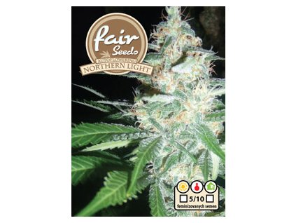 729faac452a83c4f10d934d4ea0b0dfa 2492