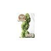Fair Seeds Auto AK47, feminized autoflowering