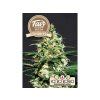 Fair Seeds Auto Moby Orka, feminized autoflowering