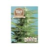 1722 fair seeds auto sweet dwarf 2024