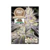 5400 fair seeds wedding cake 2024