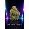 BANANA RUNTZ - HIGH KVĚTY