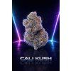 CALI KUSH TH420 KVĚTY 30%