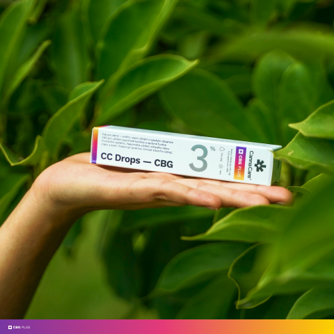 CBG - Méně známý příbuzný CBD s pestrým spektrem účinků