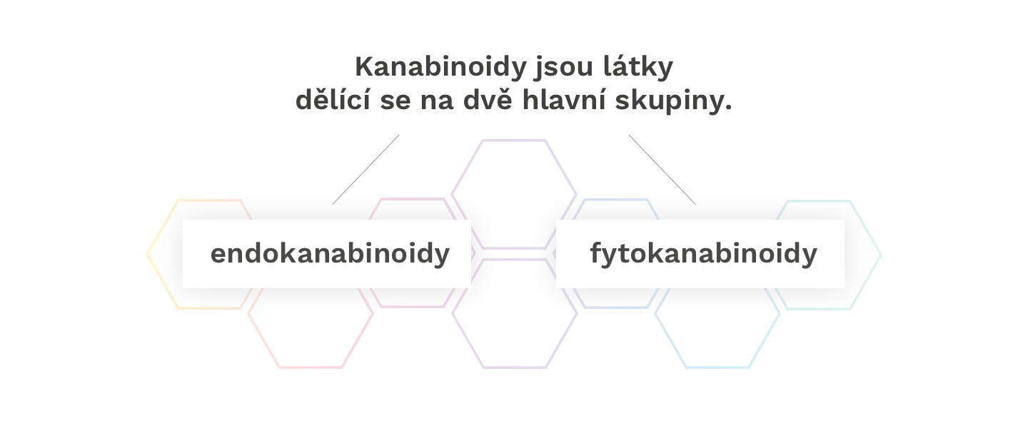 kanabinoidy_pages_1-2