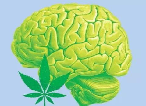 5 Reasons Why Your Brain Loves Hemp: Benefits of CBD and THC