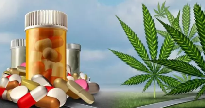 The Potential of Hemp as a Medical Alternative