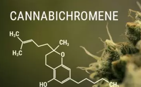 CBC - Cannabichromene: The Newest Cannabinoid