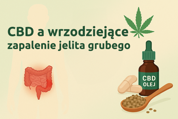 CBD a wrzodziejące zapalenie jelita grubego: Czy konopie mogą pomóc w leczeniu chorób zapalnych