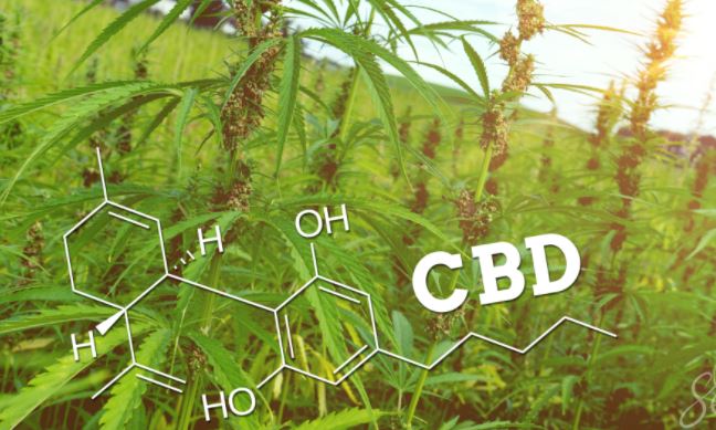 CBD ma tylko kilka skutków ubocznych. Jakie?