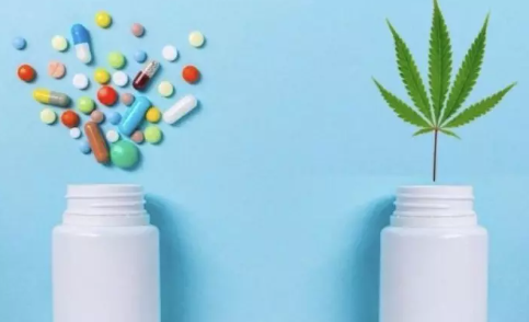 Can CBD Be the Future of Antibiotics? Exploring the Potential of Cannabidiol in Combating Resistant Bacteria