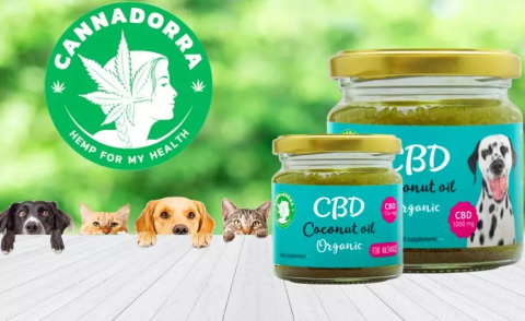 The Benefits of CBD Coconut Oil for Your Pets' Health