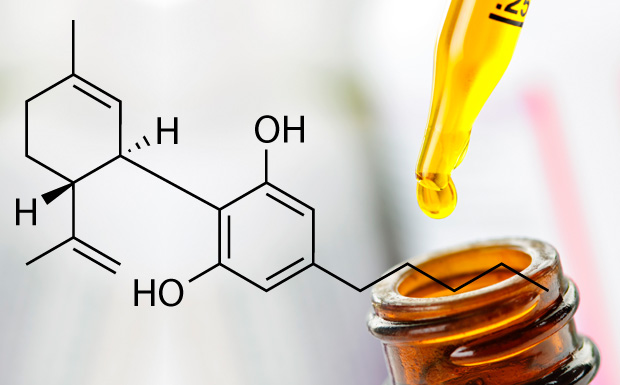 Cosa vale la pena sapere prima di acquistare l’olio di CBD?