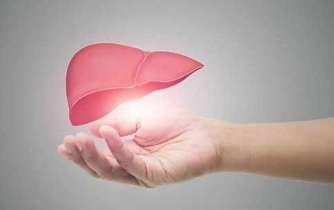 Can CBD Affect Liver Health? A Comprehensive Study