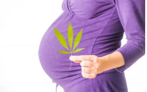 Is CBD Safe During Pregnancy? Benefits and Insights for Expectant Mothers