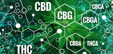 Discovering CBG: The Overlooked Cannabinoid with Promising Benefits