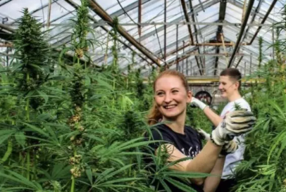 Celebrate Earth Day with Hemp: A Sustainable Solution for Our Planet