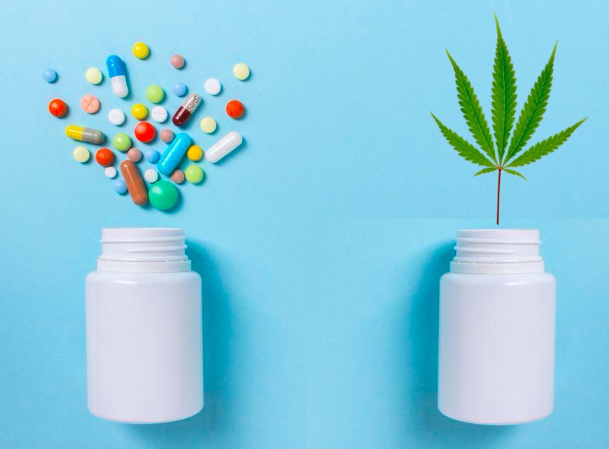 Czy CBD może działać jako skuteczny antybiotyk?