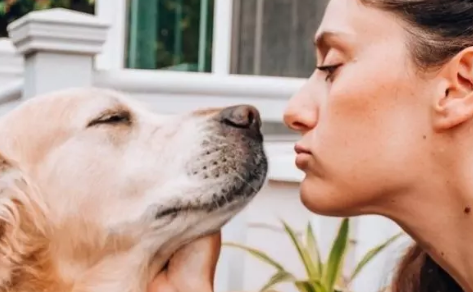 Difference Between Human CBD Products and CBD for Pets: What You Need to Know
