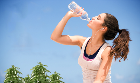 5 Effective Tips to Alkalize Your Body with Hemp