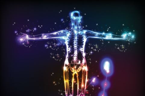 Czym jest system endokannabinoidowy? Ludzki układ kannabinoidowy