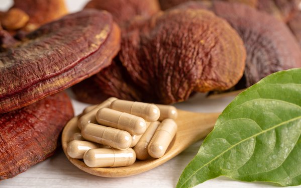 Grzyb Reishi: działanie i zastosowanie