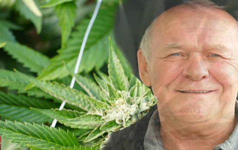 Discover the Health Benefits of Hemp in 4 Easy Steps