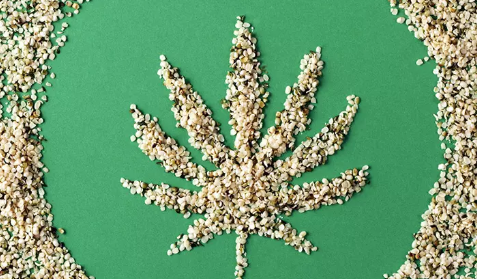 The Nutritional Powerhouse: Why Hemp Should Be a Staple in Your Diet