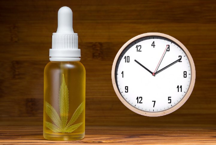 Quanto durano gli effetti del CBD?