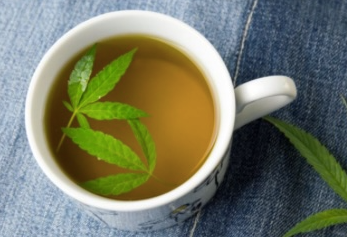 Té de cáñamo – experiencias y opiniones