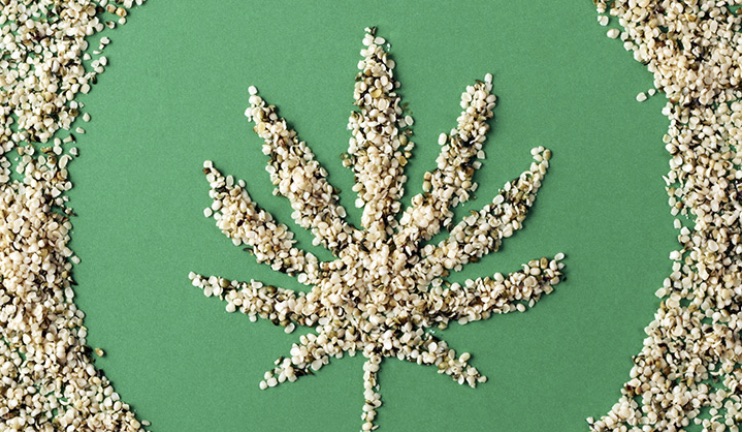 Konopie - po co je spożywać?