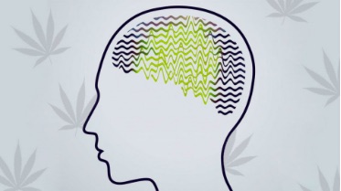 CBD w leczeniu padaczki – znaleziono skuteczny lek?