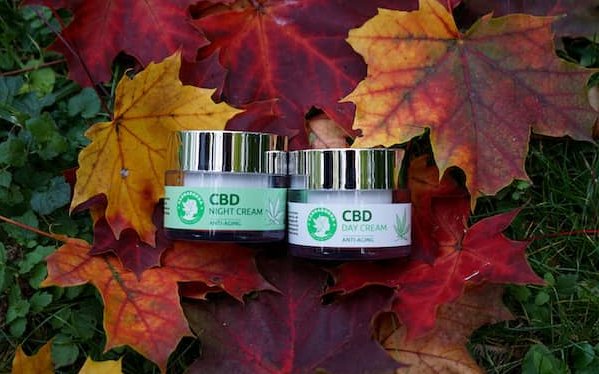 Krem CBD na dzień i na noc – przyszłość pielęgnacji skóry