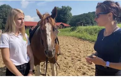 Caii și cânepa – experiențe