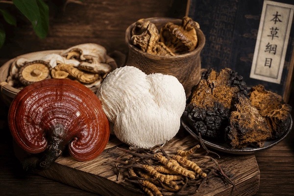 Medicinal mushrooms of traditional Chinese medicine: a guide to the most important ones