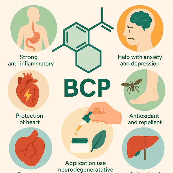 Effects of BCP - how does betacarophyllene work?