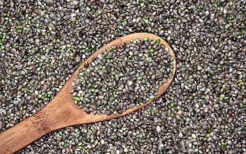 Nasiona konopi niełuskane - jak jesc?