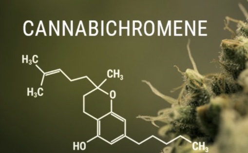 Nowy kannabinoid - CBC - jak może pomóc?