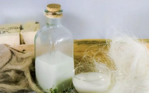 How to Make Hemp Milk at Home: A Quick and Simple Guide