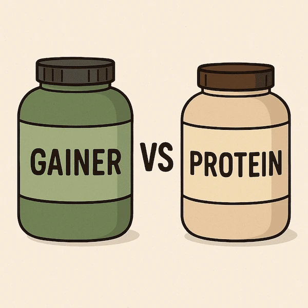 Hemp protein vs. gainer: Which is better for your training?
