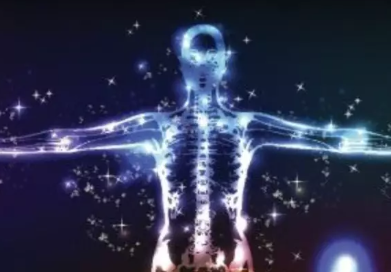 Why Isn’t the Endocannabinoid System (ECS) Taught in Medical Schools?