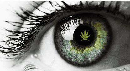 Why More People Are Choosing CBD Over Traditional Medications